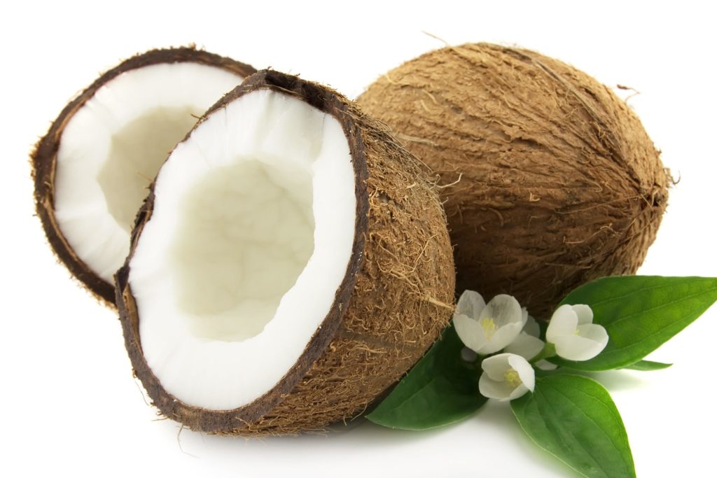 noce-di-cocco- photo web