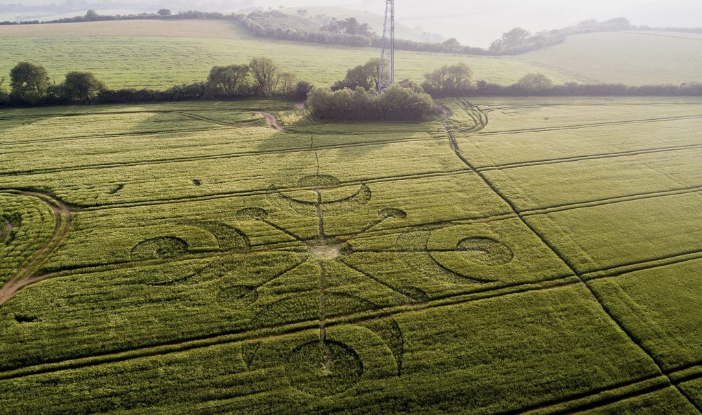 crop circle